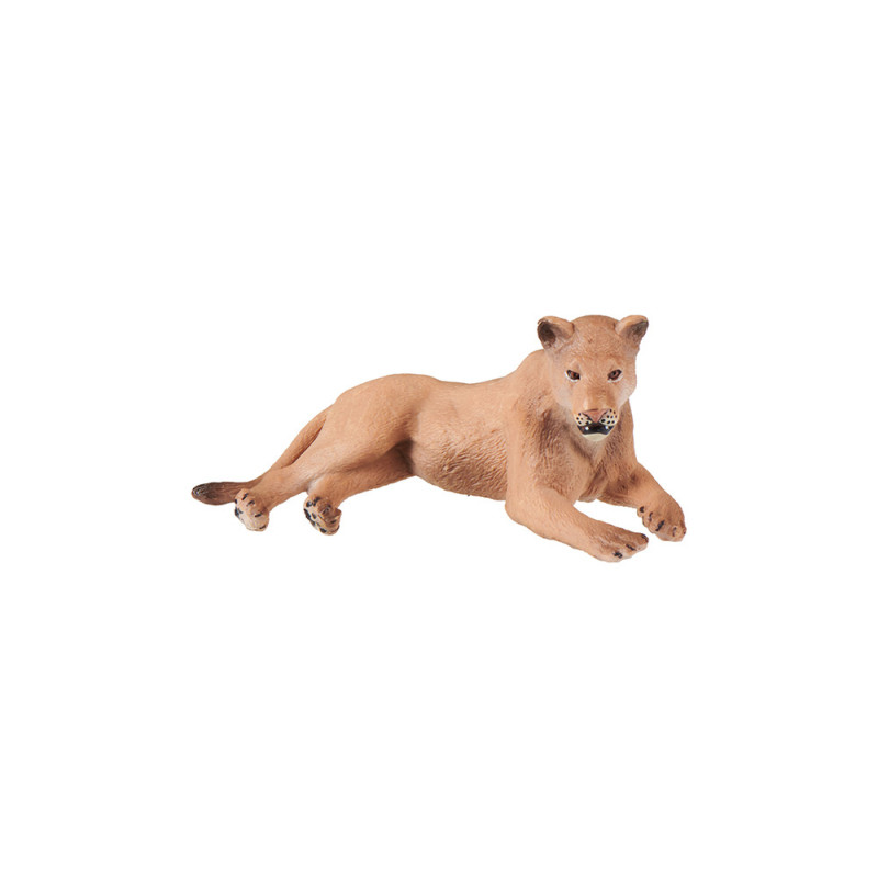 animal family - lion - German