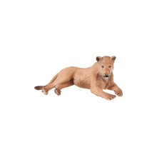 animal family - lion - English
