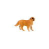 animal family - dog - German