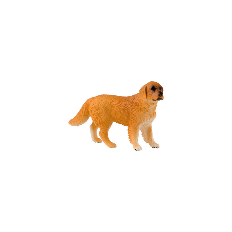 Tierfamilie - Hund - Englisch