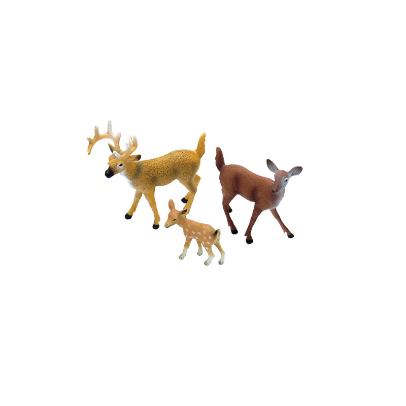 animal family - deer - German