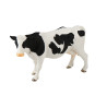 animal family - cattle - German