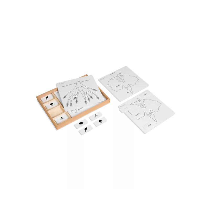 Control cards for the botanical puzzles (English version)