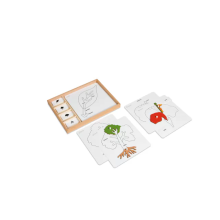 Control cards for the botanical puzzles (English version)