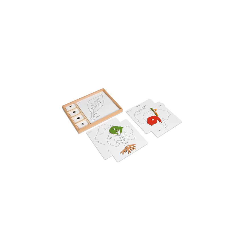 Control cards for the botanical puzzles (English version)