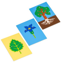 Puzzle súprava - Strom, List, Kvety