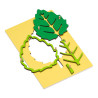 Puzzle súprava - Strom, List, Kvety