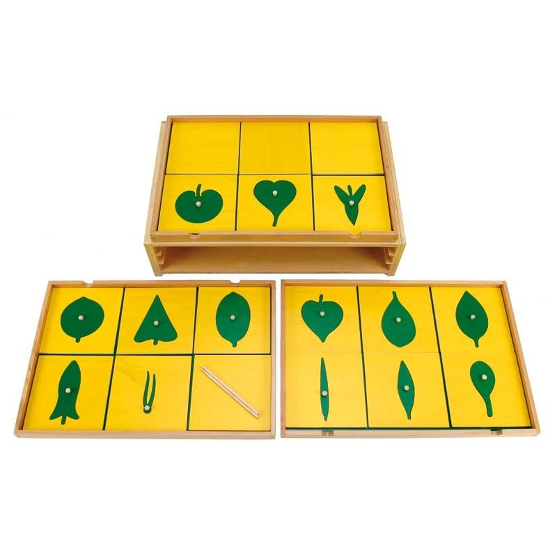 Botany Cabinet Botany Cabinet