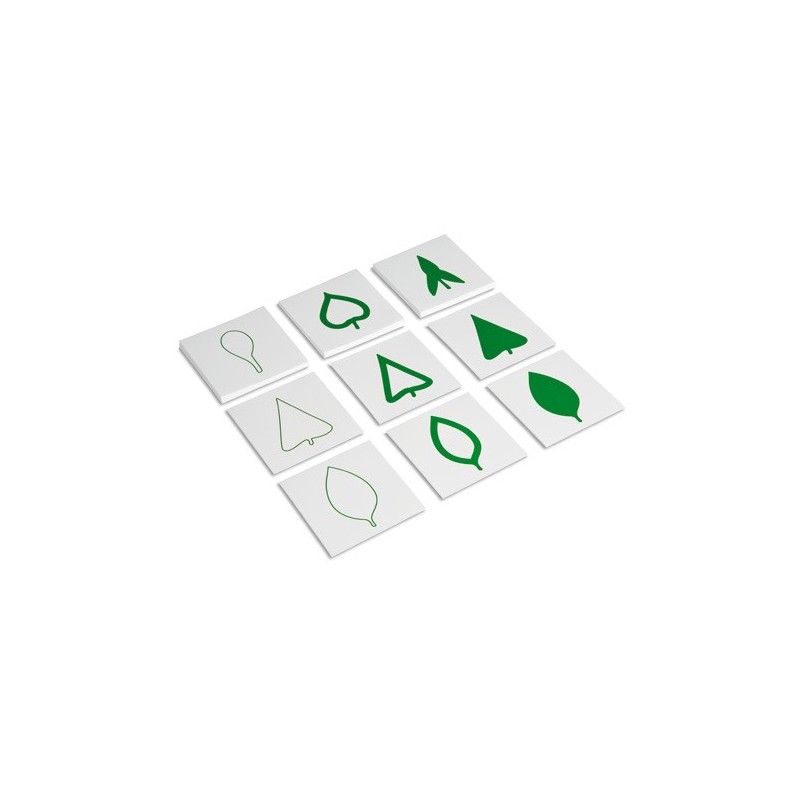 Leaf Cards Leaf Cards