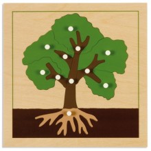 Botany Puzzle: Tree
