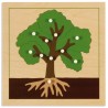 Botany Puzzle: Tree Botany Puzzle: Tree