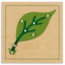 Holz-Puzzle - Botanik - Blatt