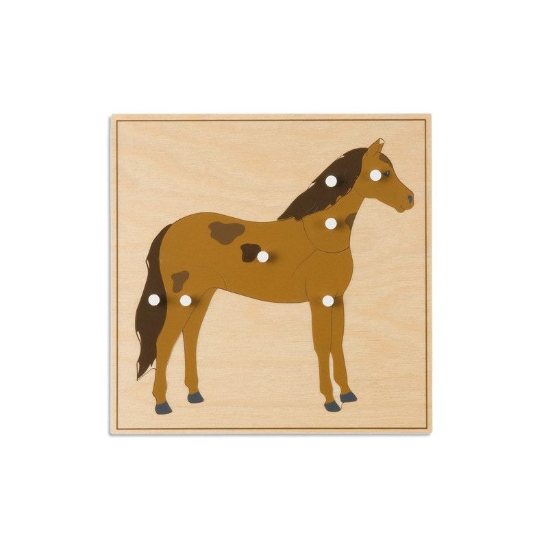 Animal Puzzle: Horse Animal Puzzle: Horse