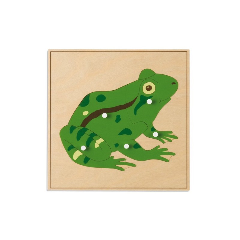 Tierpuzzle: Frosch Tierpuzzle: Frosch