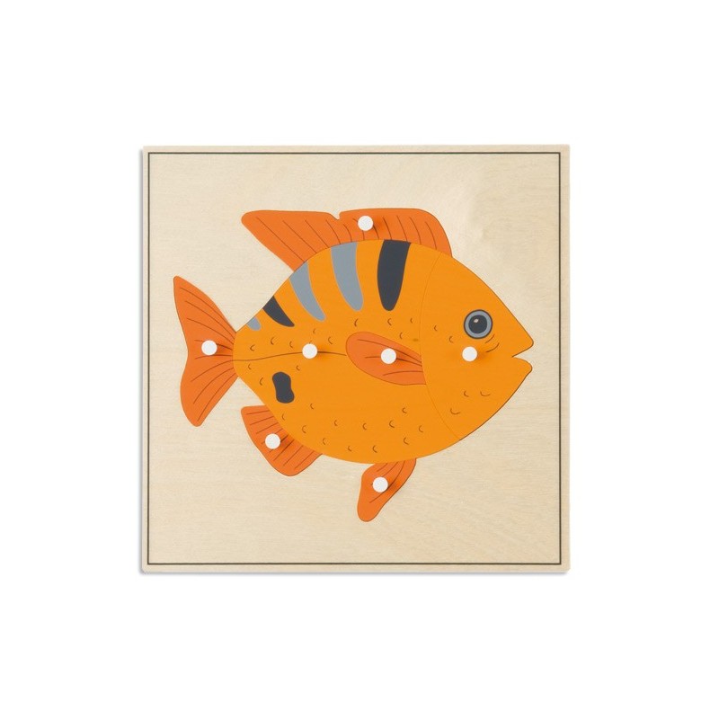 Animal Puzzle: Fish Animal Puzzle: Fish