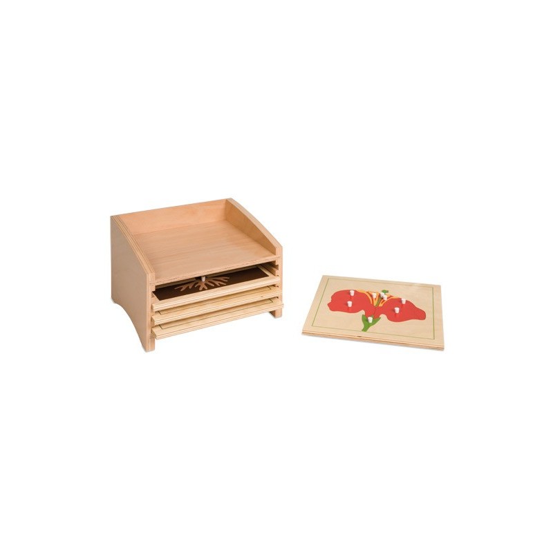 Botany Puzzle Cabinet: Four Compartments Botany Puzzle Cabinet: Four Compartments