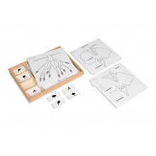 Kontrollkarten für die Botanischen Puzzles