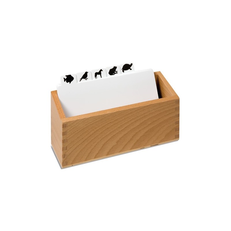 Animal Puzzle: Copy Masters Box Animal Puzzle: Copy Masters Box