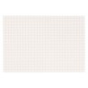 Squared Paper: 10 mm (250)