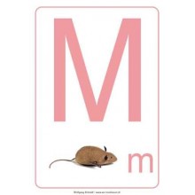 ABC floor posters for kindergarten A4