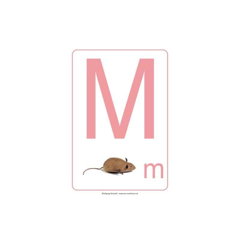 ABC floor posters for kindergarten A4