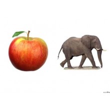 ABC Booklets (This article is also available in German)