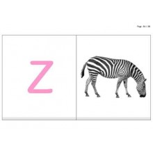 ABC Cards (This article is also available in German)