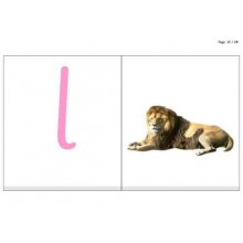 ABC Cards (This article is also available in German)