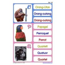 ABC in multiple languages with interact. Educational software