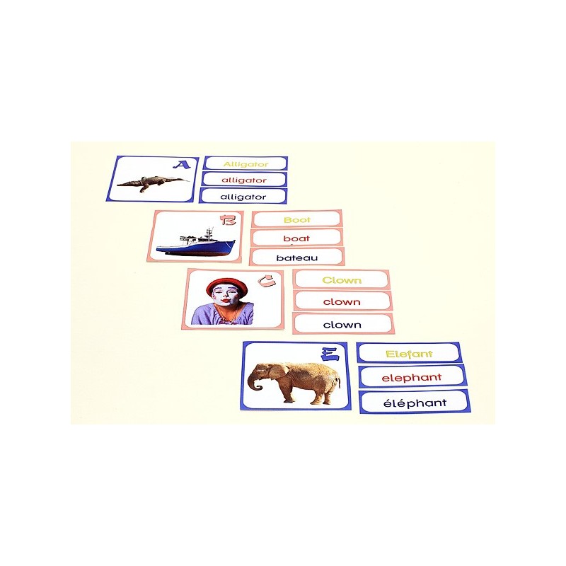 ABC in multiple languages with interact. Educational software