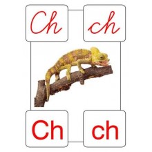 ABC wall posters for school A4