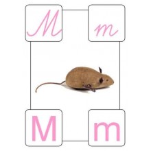 ABC wall posters for school A4