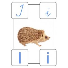 ABC wall posters for school A4