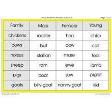 Animal Families	 (Dieser Artikel ist auch in deutsch erhältlich)