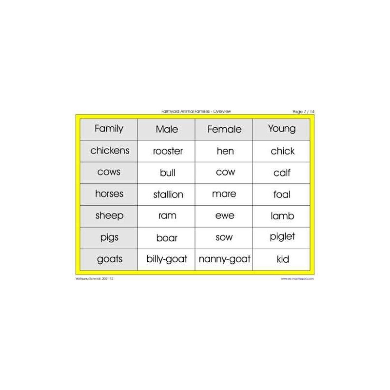 Animal Families (This article is also available in German)