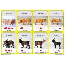 Animal Families	 (Dieser Artikel ist auch in deutsch erhältlich)