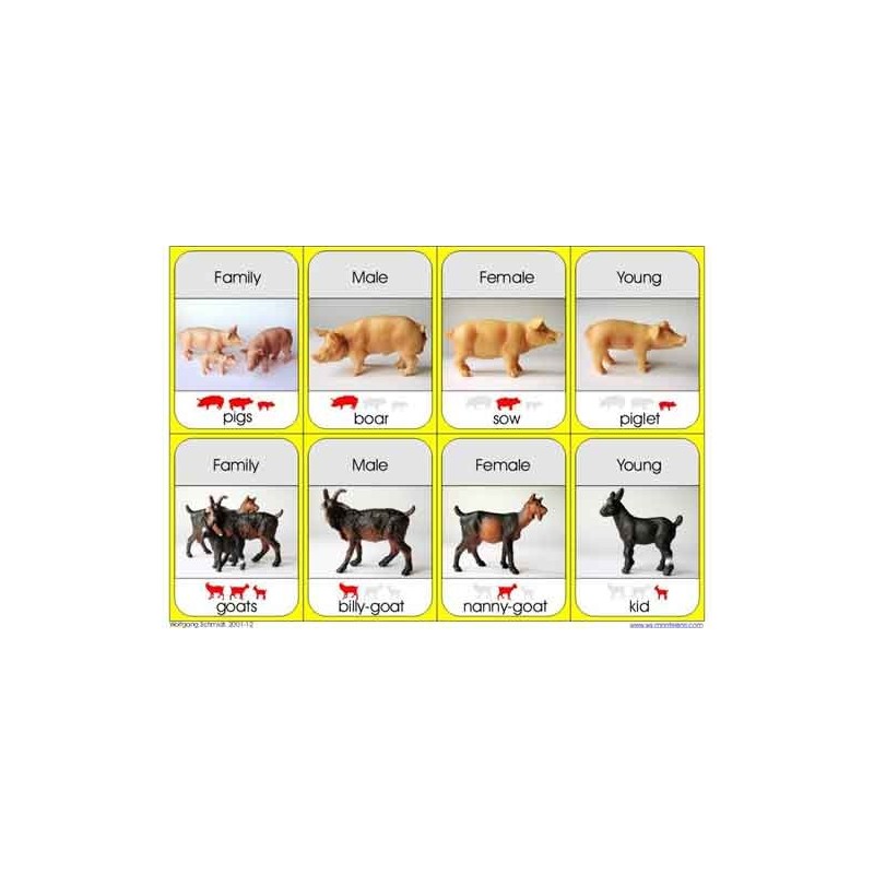 Animal Families (This article is also available in German)