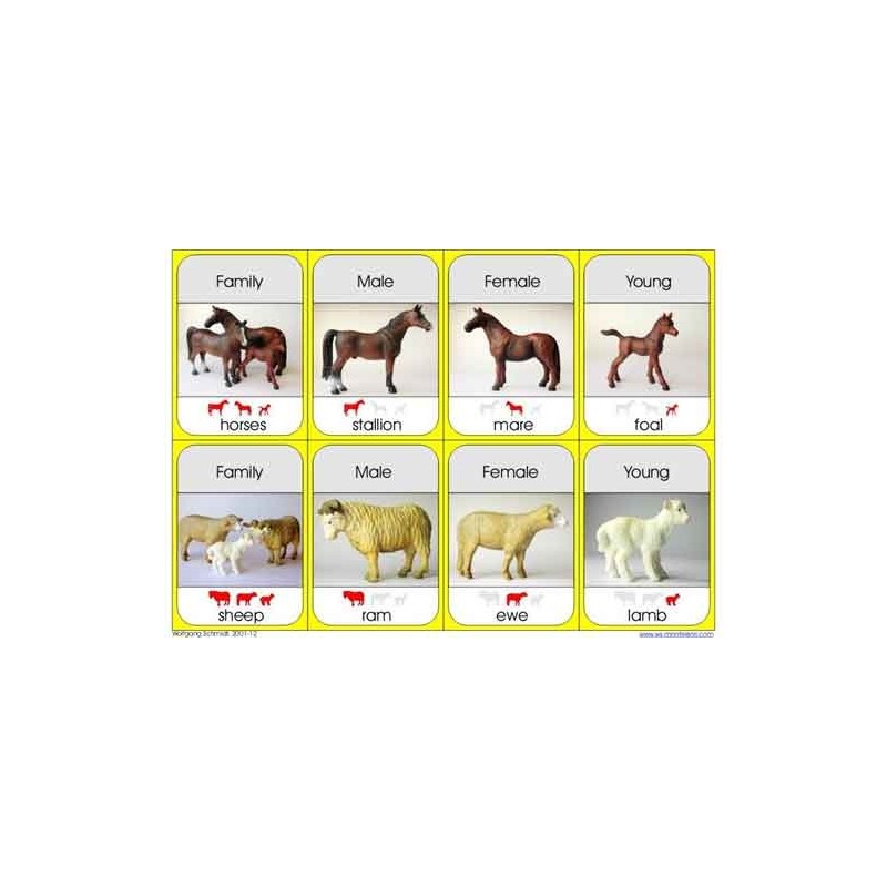 Animal Families	 (Dieser Artikel ist auch in deutsch erhältlich)