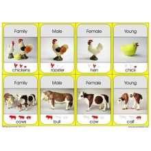 Animal Families (This article is also available in German)