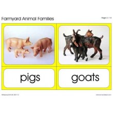 Animal Families (This article is also available in German)