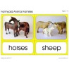 Animal Families (This article is also available in German)