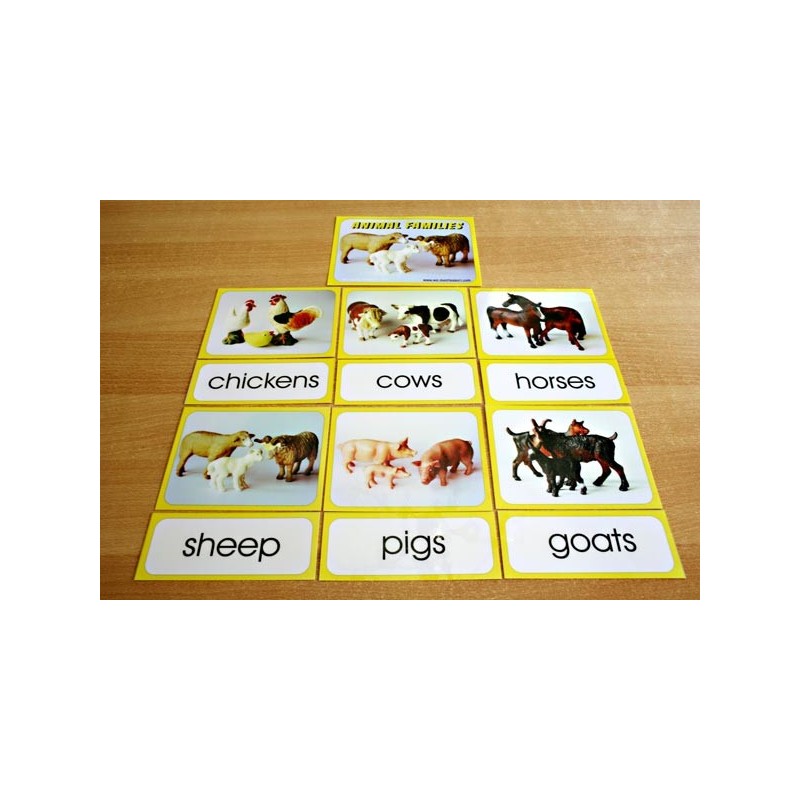 Animal Families (This article is also available in German)