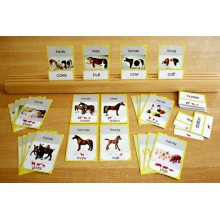 Animal Families (This article is also available in German)