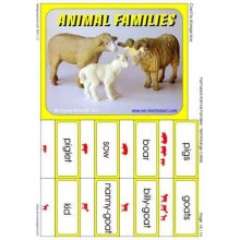 Animal Families	 (Dieser Artikel ist auch in deutsch erhältlich)