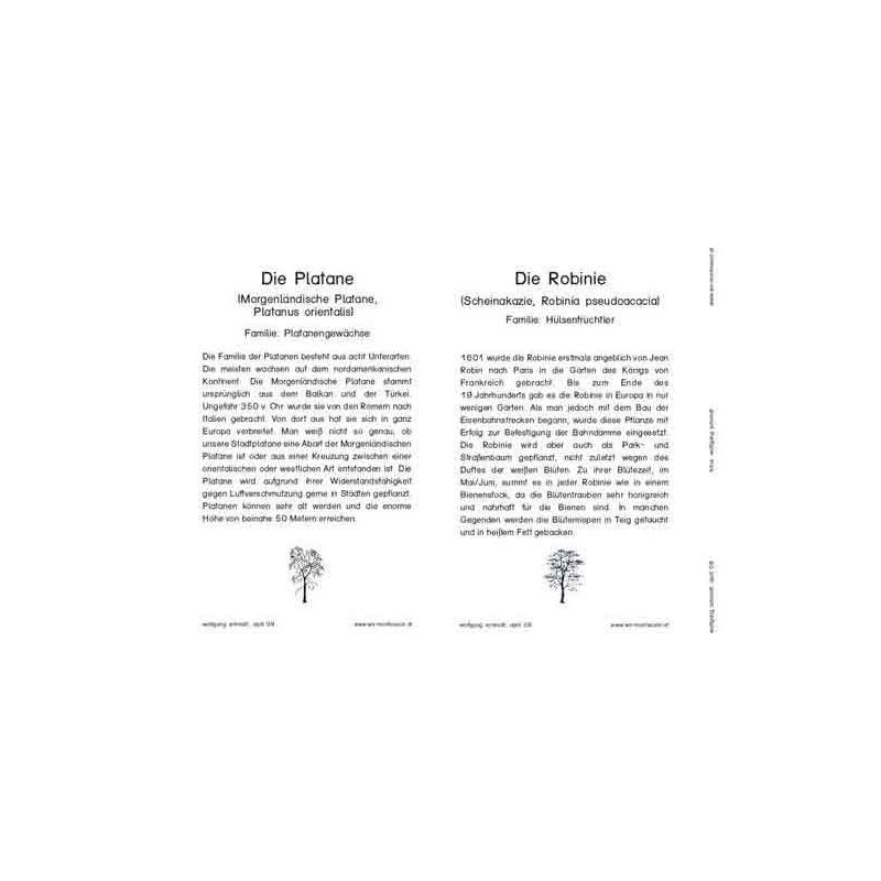 Trees - deciduous trees