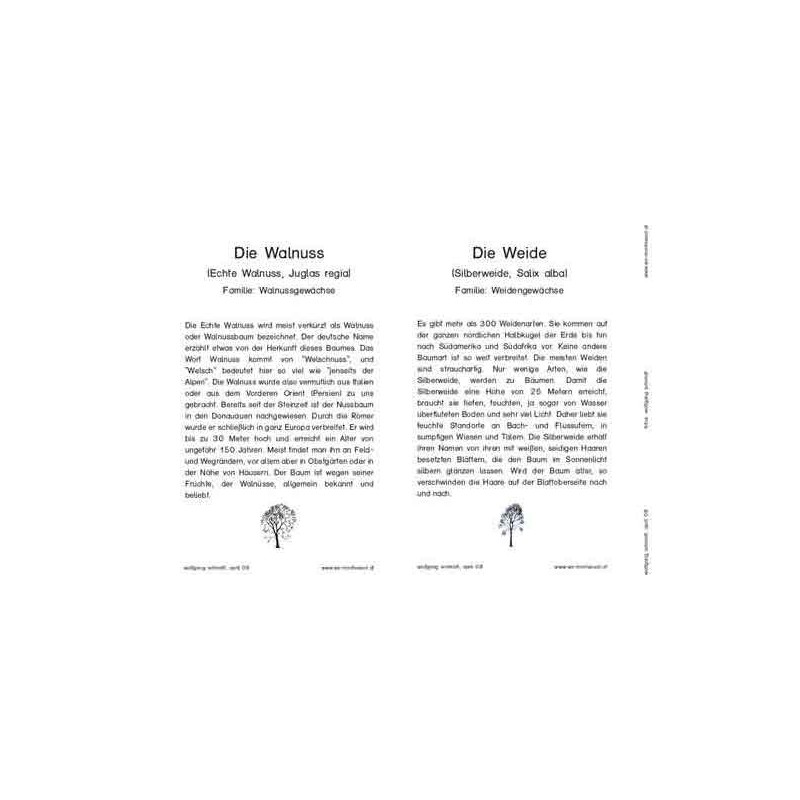 Trees - deciduous trees