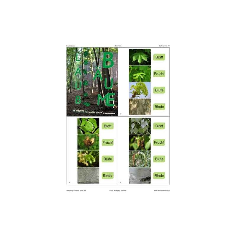 Trees - deciduous trees