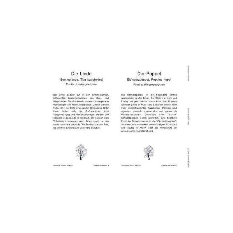 Trees - deciduous trees