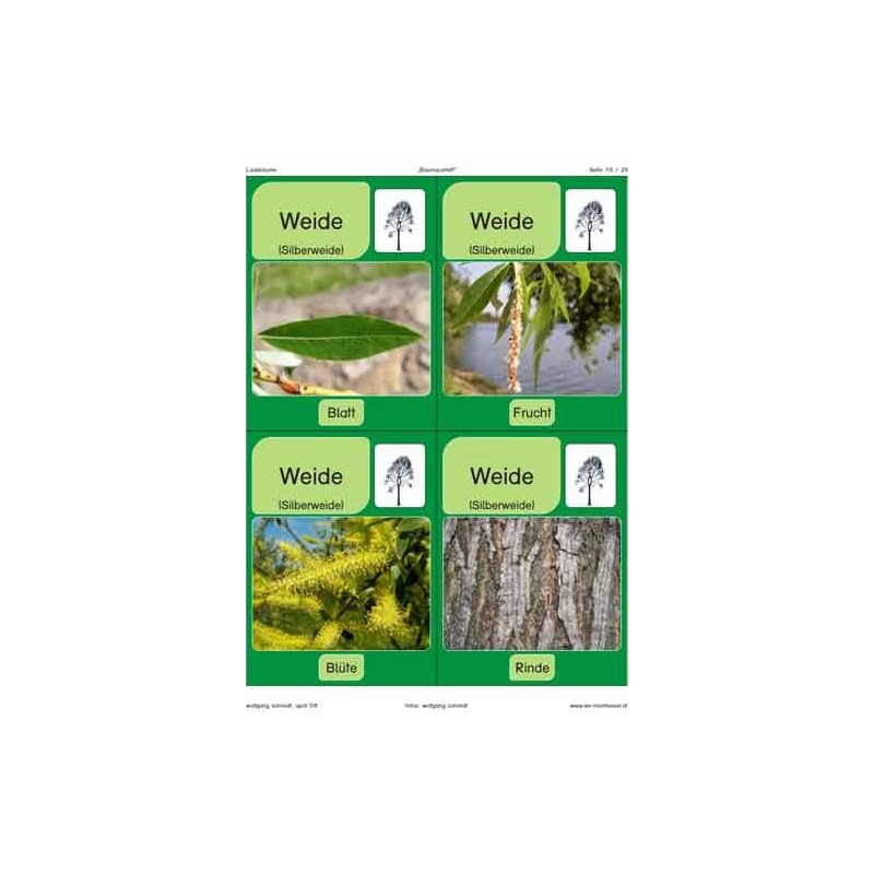 Trees - deciduous trees