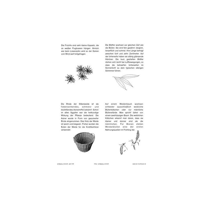 Trees - deciduous trees